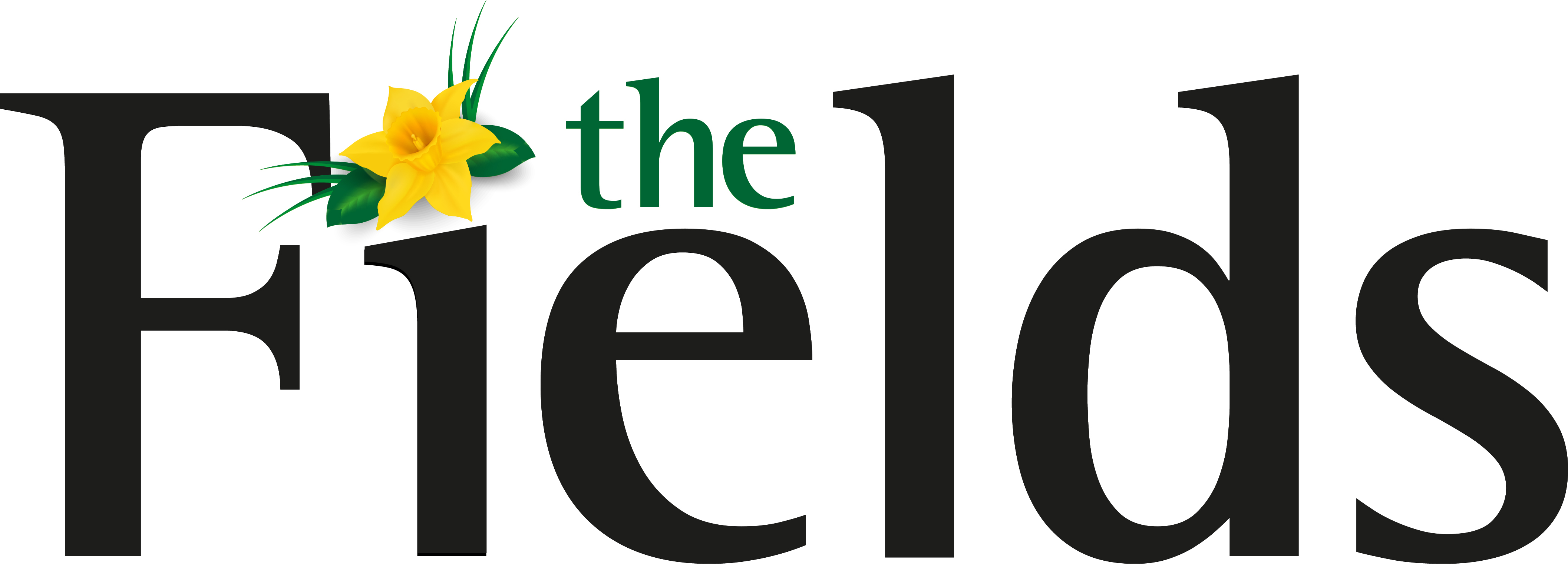 The Fields Care Home