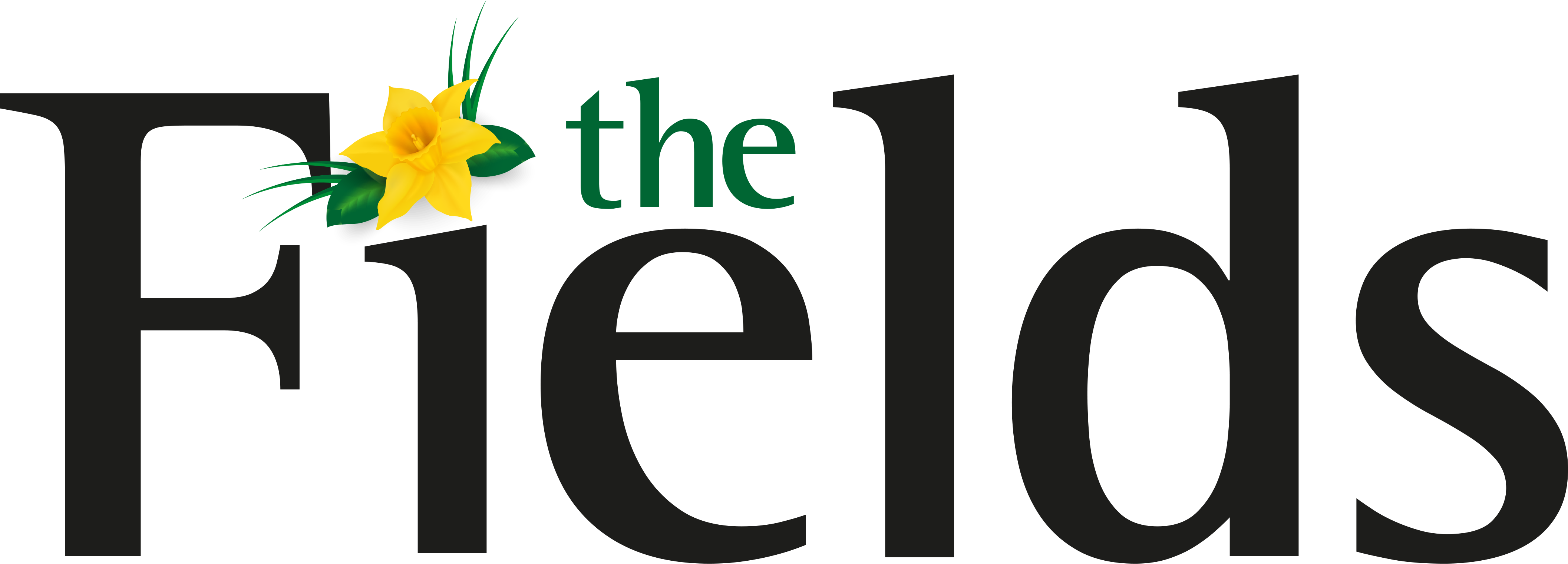 The Fields Care Home